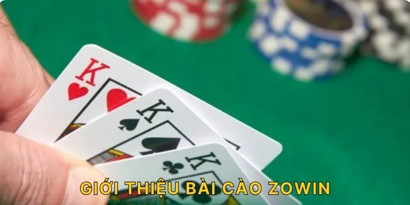 Giới thiệu bài cào ZOWIN